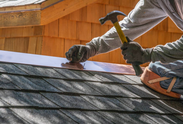 Best Asphalt Shingle Roofing  in Red Lake, MN