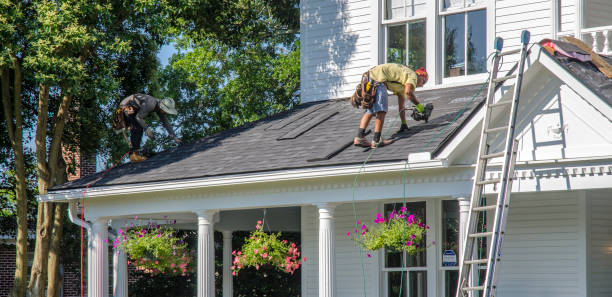 Best Green or Eco-Friendly Roofing Solutions  in Red Lake, MN